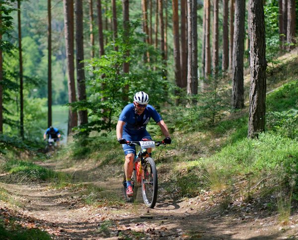 Quels sont les impacts environnementaux des grands événements sportifs ?